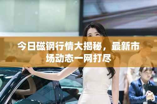 今日磁钢行情大揭秘,最新市场动态一网打尽