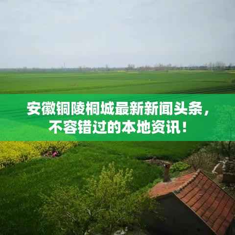 安徽铜陵桐城最新新闻头条,不容错过的本地资讯!