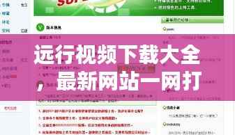 豪门贵胄