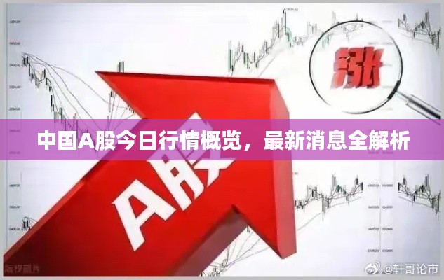 中国A股今日行情概览,最新消息全解析
