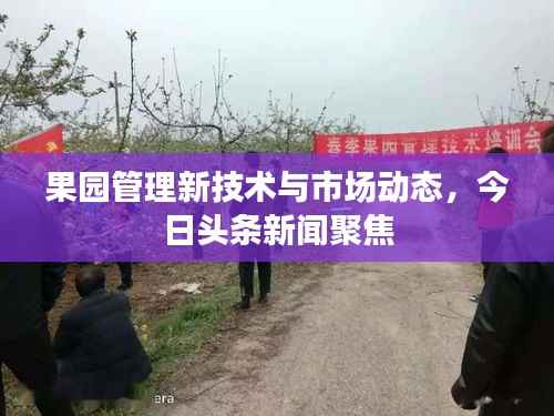 果园管理新技术与市场动态,今日头条新闻聚焦