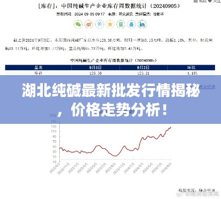 湖北纯碱最新批发行情揭秘,价格走势分析!