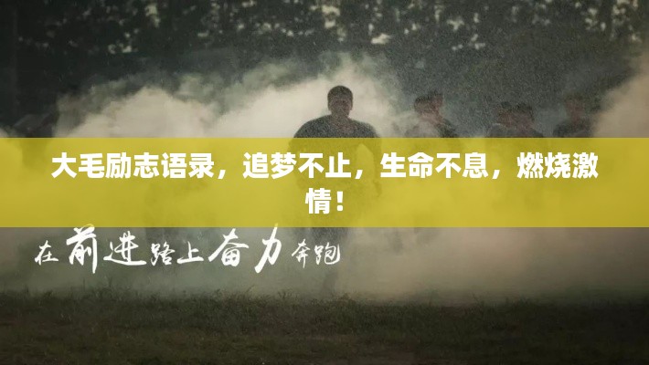 大毛励志语录,追梦不止,生命不息,燃烧激情!