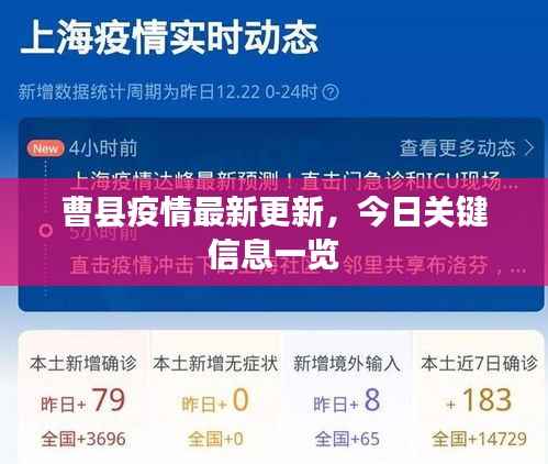曹县疫情最新更新,今日关键信息一览