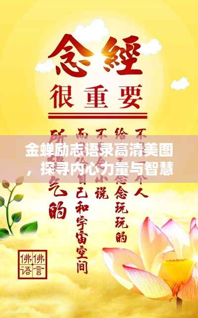 金蝉励志语录高清美图,探寻内心力量与智慧,激发无限潜能!