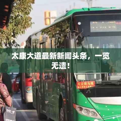 太康大道最新新闻头条,一览无遗!