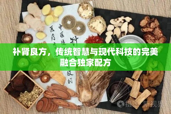 补肾良方,传统智慧与现代科技的完美融合独家配方