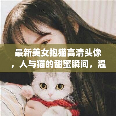 最新美女抱猫高清头像,人与猫的甜蜜瞬间,温馨画面不容错过