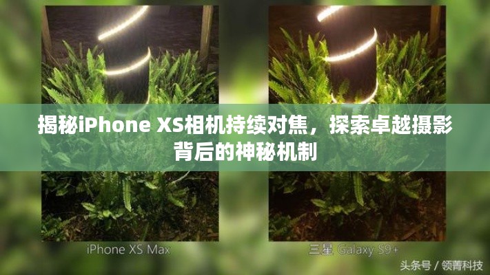 揭秘iPhone XS相机持续对焦,探索卓越摄影背后的神秘机制