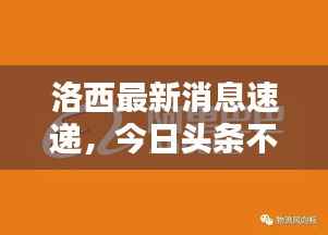 洛西最新消息速递,今日头条不容错过