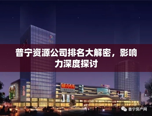 普宁资源公司排名大解密，影响力深度探讨
