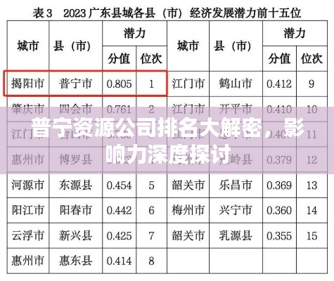 普宁资源公司排名大解密,影响力深度探讨