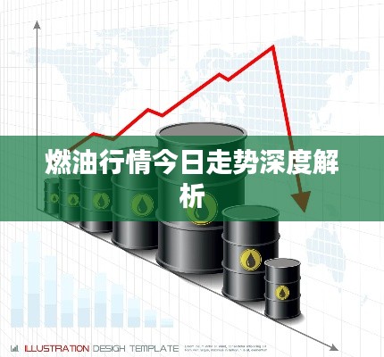 燃油行情今日走势深度解析