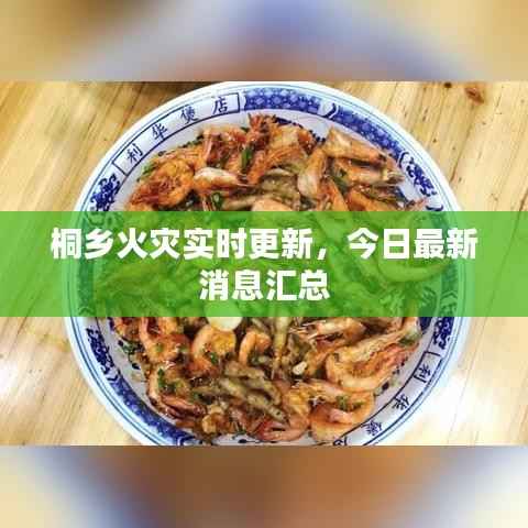 桐乡火灾实时更新,今日最新消息汇总