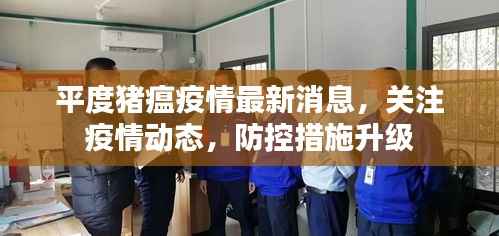平度猪瘟疫情最新消息,关注疫情动态,防控措施升级