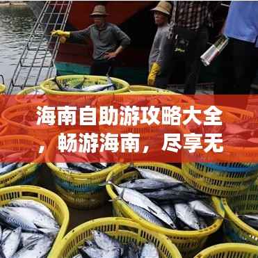 海南自助游攻略大全,畅游海南,尽享无限风情!