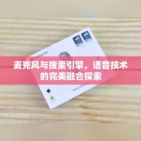 麦克风与搜索引擎，语音技术的完美融合探索