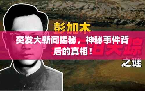 突发大新闻揭秘,神秘事件背后的真相!