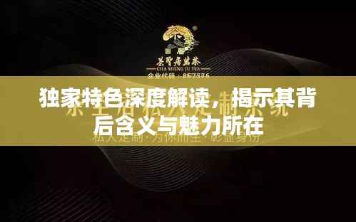 独家特色深度解读,揭示其背后含义与魅力所在