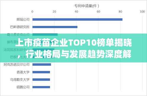 上市疫苗企业TOP10榜单揭晓,行业格局与发展趋势深度解析