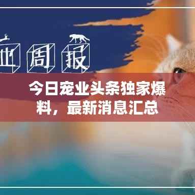 今日宠业头条独家爆料,最新消息汇总