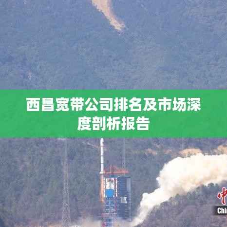 西昌宽带公司排名及市场深度剖析报告