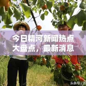 今日精河新闻热点大盘点，最新消息综述