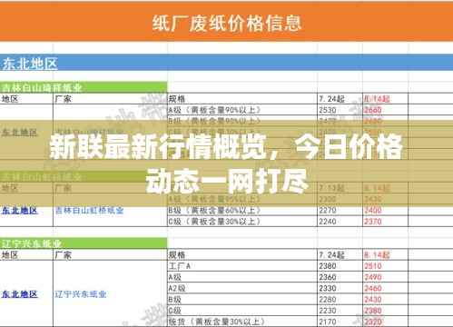 新联最新行情概览,今日价格动态一网打尽