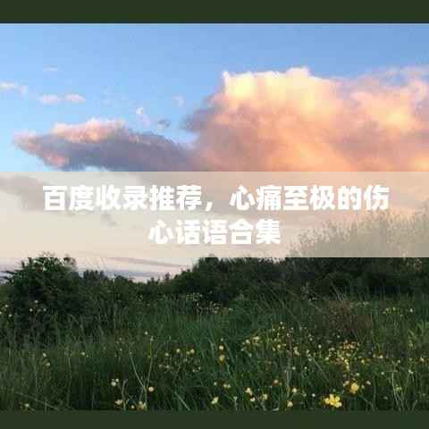 百度收录推荐,心痛至极的伤心话语合集