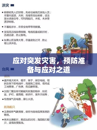 应对突发灾害,预防准备与应对之道