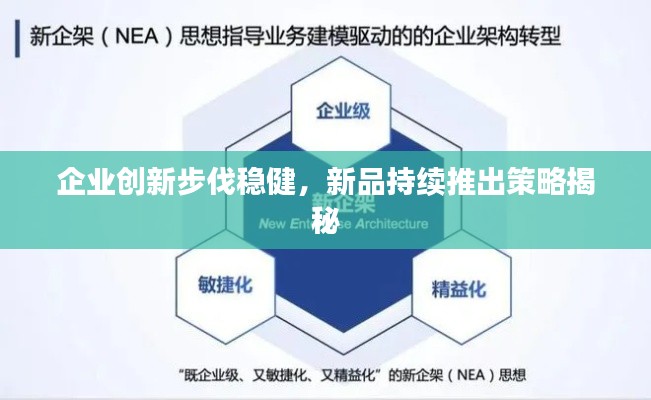 企业创新步伐稳健,新品持续推出策略揭秘