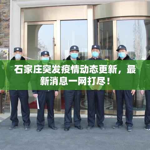 石家庄突发疫情动态更新,最新消息一网打尽!