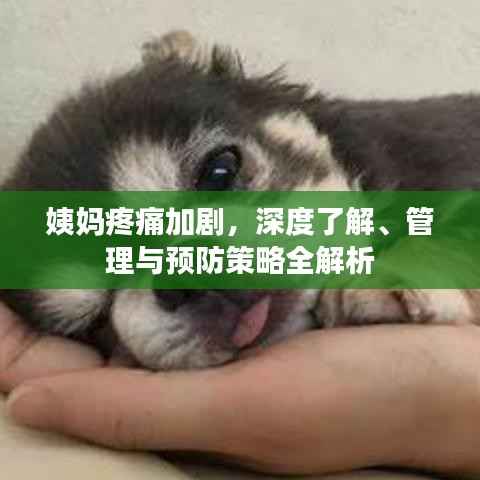 姨妈疼痛加剧,深度了解、管理与预防策略全解析