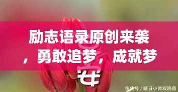 励志语录原创来袭,勇敢追梦,成就梦想之旅!