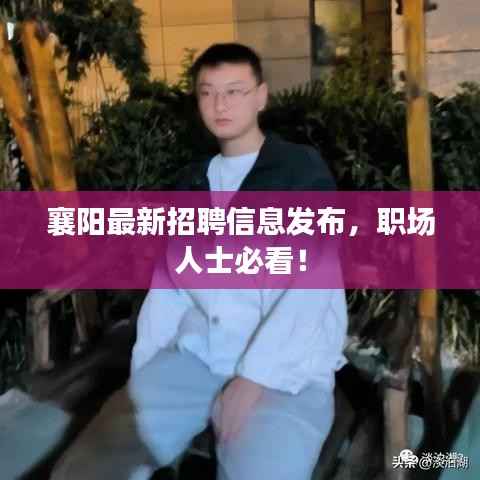 襄阳最新招聘信息发布，职场人士必看！