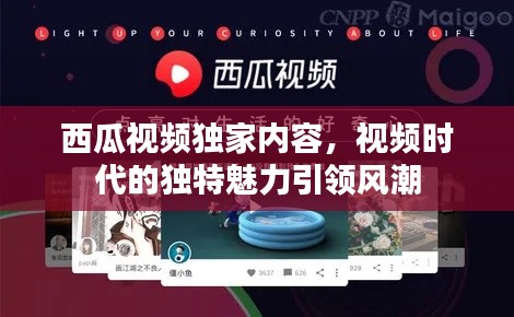 西瓜视频独家内容,视频时代的独特魅力引领风潮