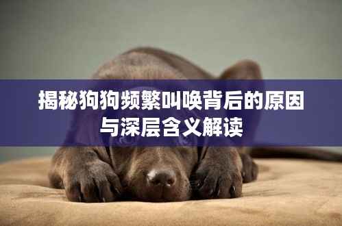 百不获一