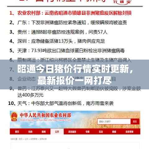 昭通今日猪价行情实时更新,最新报价一网打尽