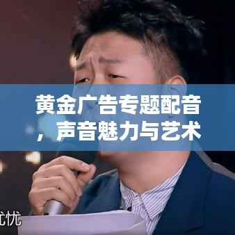 黄金广告专题配音,声音魅力与艺术力量的完美结合