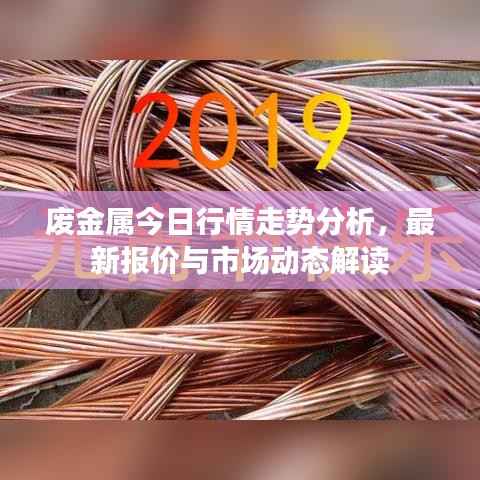 废金属今日行情走势分析，最新报价与市场动态解读