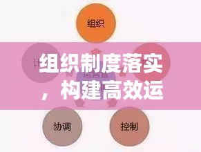 组织制度落实,构建高效运行之核心要素