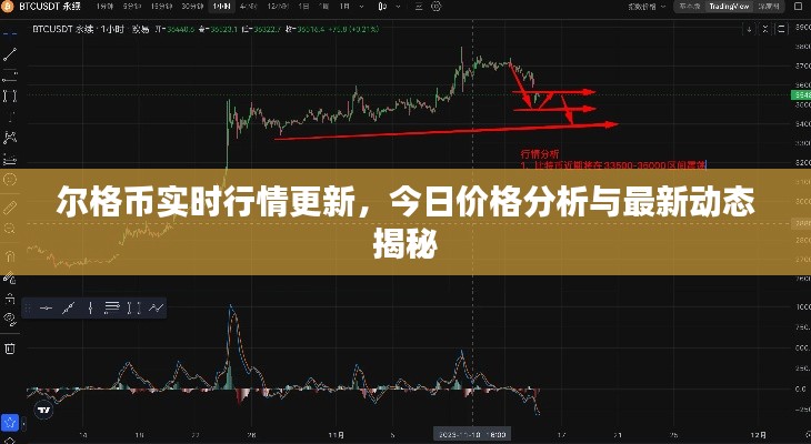 尔格币实时行情更新,今日价格分析与最新动态揭秘