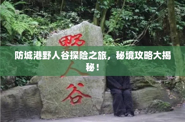 防城港野人谷探险之旅,秘境攻略大揭秘!
