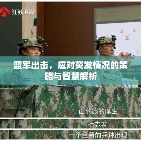 蓝军出击,应对突发情况的策略与智慧解析